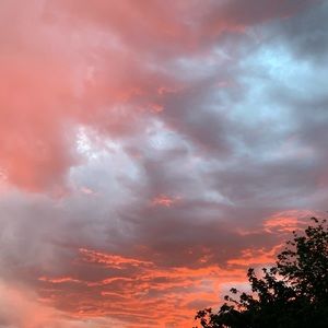 Meet your Posher, Rick